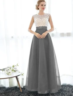A-Line Elegant Dress Wedding Guest Prom Floor Length Sleeveless Illusion Neck Tulle Over Lace with Beading