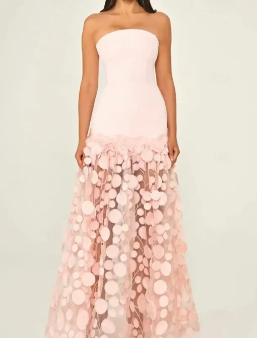 A-Line Evening Gown Elegant Dress Formal Wedding Guest Floor Length Sleeveless Strapless Lace with Tassel