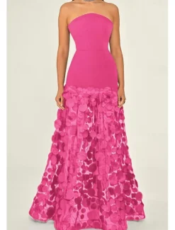 A-Line Evening Gown Elegant Dress Formal Wedding Guest Floor Length Sleeveless Strapless Lace with Tassel