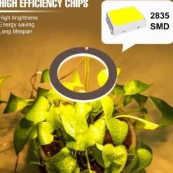 Angel Grow Light 4 or 3 Ring DC5V USB Phytolamp For Plants Led Full Spectrum Lamp For Indoor Plant Seedlings Home Flower Succulet 1pc