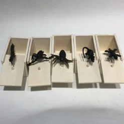 April Fool's Day Gift Startles Prank Toy Simulation Spider Wooden Box Pranks Scare Gift