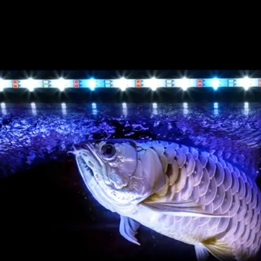 Aquarium Light LED Waterproof Fish Tank Light Underwater Fish Lamp Aquariums Decor Lighting Plant Grow Lamp 220-240V