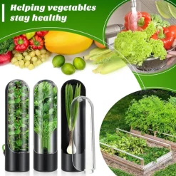 Asparagus and Vanilla Crisper Container Eco-friendly Vegetable Crisper Cup Anti-crush Vegetable Refrigerator Storage Box