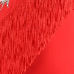 Ballroom Dance Dress Rhinestone Pure Color Women's Performance Training Long Sleeve High Chinlon Organza Tulle