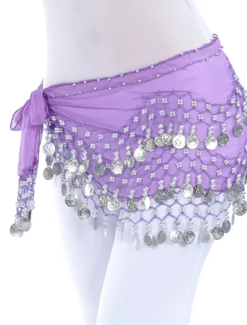 Belly Dance Hip Scarf Coin Beading Sequins Women's Training Chiffon