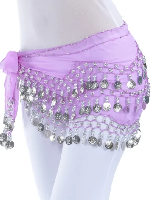 Belly Dance Hip Scarf Coin Beading Sequins Women's Training Chiffon