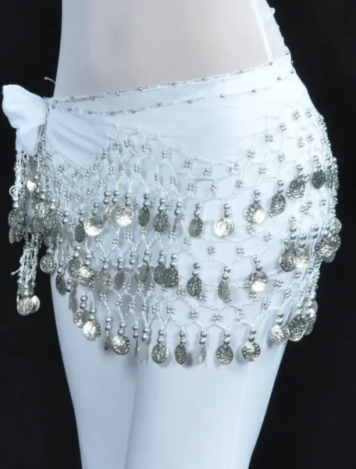 Belly Dance Hip Scarf Coin Beading Sequins Women's Training Chiffon