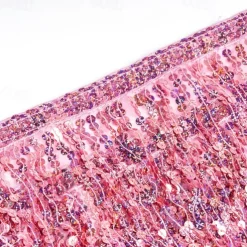 Belly Dance Hip Scarf Sequin Tassel Skirt Wrap Sparkly Rave Costume for Women