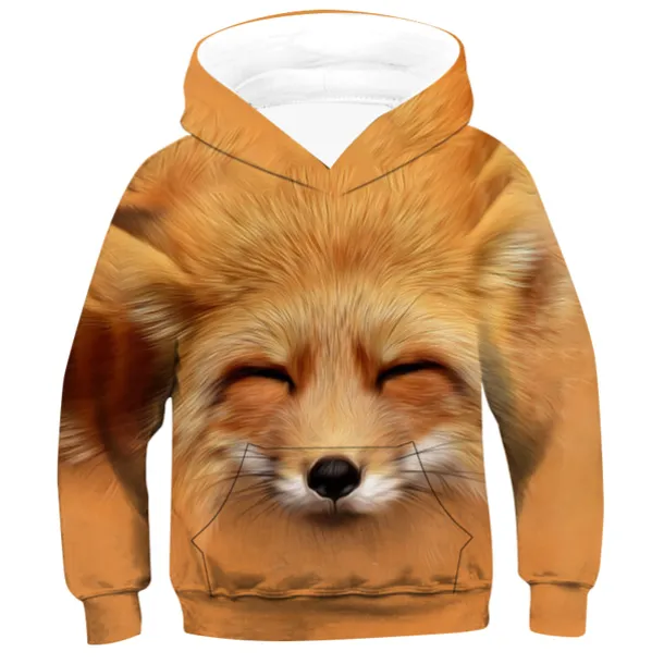 Boys 3D Animal Fox Hoodie Long Sleeve 3D Print Spring Fall Active Cute Streetwear Kids 3-12 Years Daily