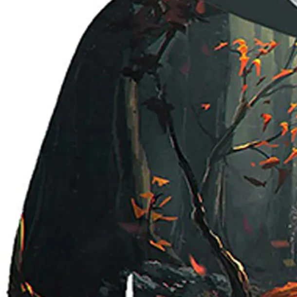 Boys 3D Animal Fox Hoodie Long Sleeve 3D Print Spring Fall Active Cute Streetwear Kids 3-12 Years Daily