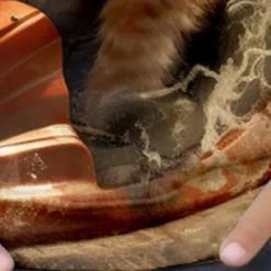 Boys 3D Cat Sweatshirt Pullover Long Sleeve 3D Print Spring Fall Fashion Streetwear Cool Kids 3-12 Years Crew Neck Outdoor Casual Daily Regular Fit