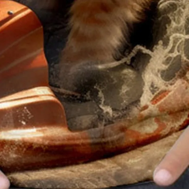 Boys 3D Cat Sweatshirt Pullover Long Sleeve 3D Print Spring Fall Fashion Streetwear Cool Kids 3-12 Years Crew Neck Outdoor Casual Daily Regular Fit