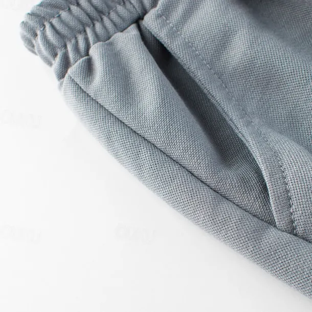 Boys 3D Dinosaur Pants Sweatpants Spring Fall Active Basic Kids 4 years+ Outdoor Sport Casual Regular Fit