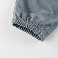 Boys 3D Dinosaur Pants Sweatpants Spring Fall Active Basic Kids 4 years+ Outdoor Sport Casual Regular Fit