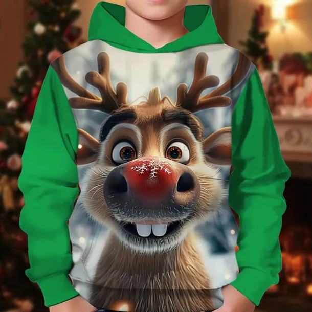 Boys 3D Graphic Deer Christmas Hoodie Hoodie Long Sleeve Spring Fall Fashion Streetwear Kids 4-12 Years Hooded Outdoor Casual Daily Regular Fit