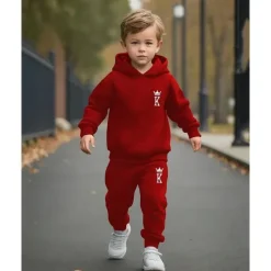 Boys 3D Graphic Hoodie & Sweatpants Set Sports Suit Tracksuits Long Sleeve Spring Fall Daily Basic Casual Kids 4-12 Years Hooded Outdoor Vacation Sports Tailored Fit