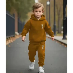 Boys 3D Graphic Hoodie & Sweatpants Set Sports Suit Tracksuits Long Sleeve Spring Fall Daily Basic Casual Kids 4-12 Years Hooded Outdoor Vacation Sports Tailored Fit