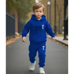 Boys 3D Graphic Hoodie & Sweatpants Set Sports Suit Tracksuits Long Sleeve Spring Fall Daily Basic Casual Kids 4-12 Years Hooded Outdoor Vacation Sports Tailored Fit