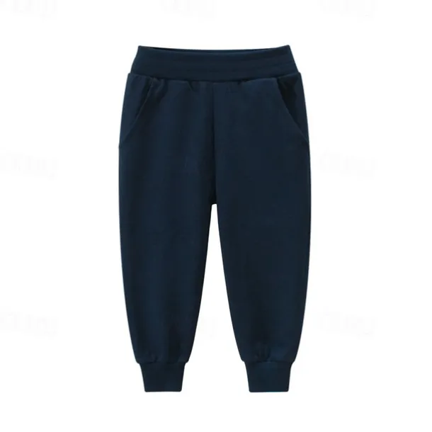 Boys 3D Solid Color Pants Sweatpants Spring Fall Active Basic Kids 4 years+ Outdoor Sport Casual Regular Fit