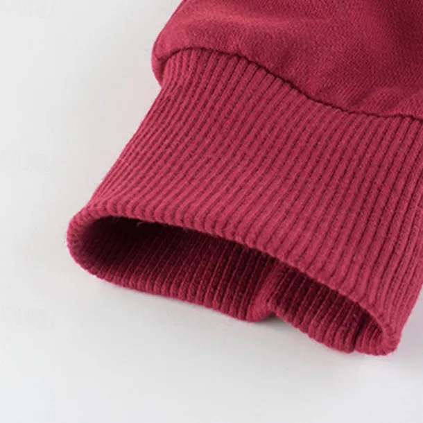 Boys 3D Solid Color Pants Sweatpants Spring Fall Active Basic Kids 4 years+ Outdoor Sport Casual Regular Fit