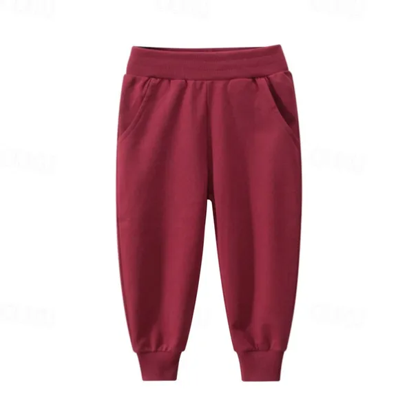 Boys 3D Solid Color Pants Sweatpants Spring Fall Active Basic Kids 4 years+ Outdoor Sport Casual Regular Fit