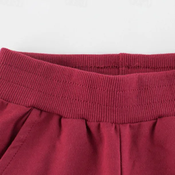 Boys 3D Solid Color Pants Sweatpants Spring Fall Active Basic Kids 4 years+ Outdoor Sport Casual Regular Fit