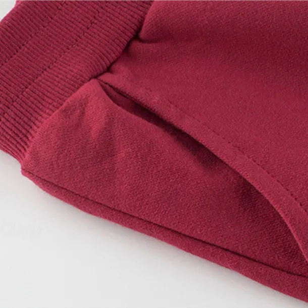 Boys 3D Solid Color Pants Sweatpants Spring Fall Active Basic Kids 4 years+ Outdoor Sport Casual Regular Fit