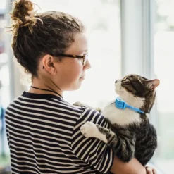 Cats Prevent Meowing Designed Bark Collar for Dogs, Bark Shock Collar Automatic,Sound Vibrate and Shock 3 Working Modes for Waterproof & Rechargeable