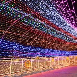 Christmas LED Fairy String Lights 10m/20m 100/200 LEDs Indoor/Outdoor Garden Garland Lights for Christmas New Year, Wedding, Holiday Party Decor 220V EU Plug