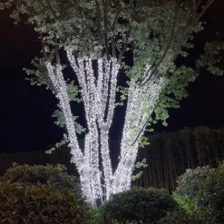 Christmas LED Fairy String Lights 10m/20m 100/200 LEDs Indoor/Outdoor Garden Garland Lights for Christmas New Year, Wedding, Holiday Party Decor 220V EU Plug