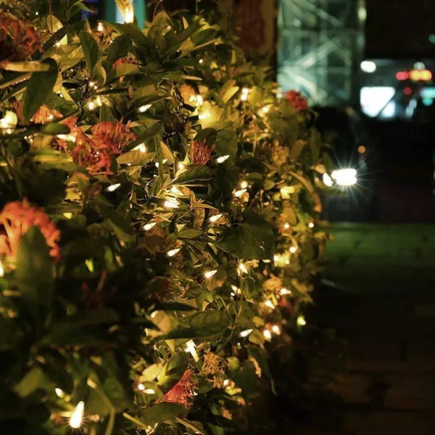 Christmas Lights Battery Operated String Lights 18ft 50 LED 8 Modes LED Mini Lights with Timer for Christmas Tree Wreath Party Home Indoor Outdoor Decor Waterproof Warm White/white