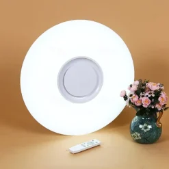 40cm Ceiling Light Bluetooth Music Absorption Dome Light LED Colorful Story Light Mobile phone smart APP Master Bedroom Light