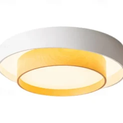 40cm Dimmable Ceiling Lights Metal Painted Finishes Modern Nordic Style 220-240V