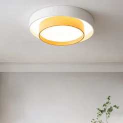 40cm Dimmable Ceiling Lights Metal Painted Finishes Modern Nordic Style 220-240V