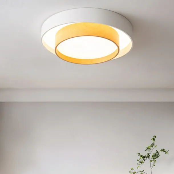 40cm Dimmable Ceiling Lights Metal Painted Finishes Modern Nordic Style 220-240V