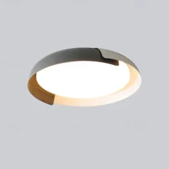 46cm Dimmable Ceiling Light Metal Painted Finishes Nature Inspired Modern 220-240V