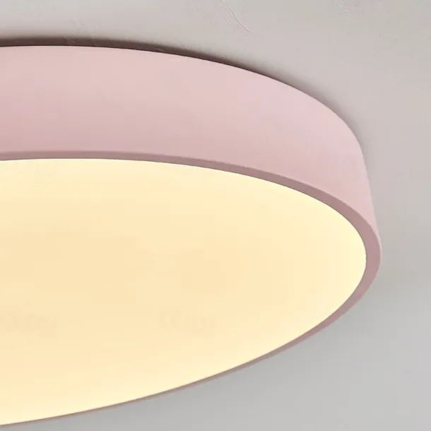 30cm LED Ceiling Light Corridor Lamp Nordic Flush Mount Lights Wood Kitchen Entrance Hall Porch Balcony Painted Finishes 110-120V 220-240V FCC VDE