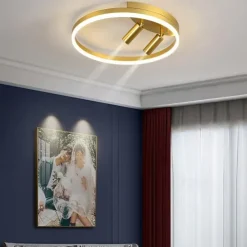 40cm LED Ceiling Light Nordic Modern Black Gold Circle Design Flush Mount Lights Metal Painted Finishes Nature Inspired 220-240V