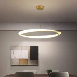 60cm LED Pendant Light 1-Light Ring Circle Design Dimmable Aluminum Painted Finishes Luxurious Modern Style Dining Room Bedroom 110-240V