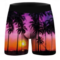 Coconut Tree Boxer Briefs Underwear Graphic Prints For Men's Adults' Masquerade 3D Print Vacation