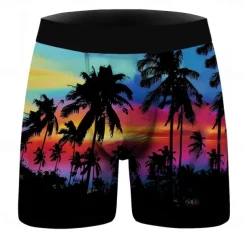 Coconut Tree Boxer Briefs Underwear Graphic Prints For Men's Adults' Masquerade 3D Print Vacation