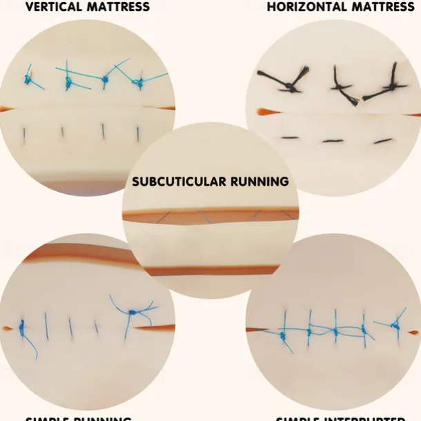 Complete Suture Practice Kit For Suture Training Including Large Silicone Suture Pad With Pre-Cut Wounds And Suture Tool Kit
