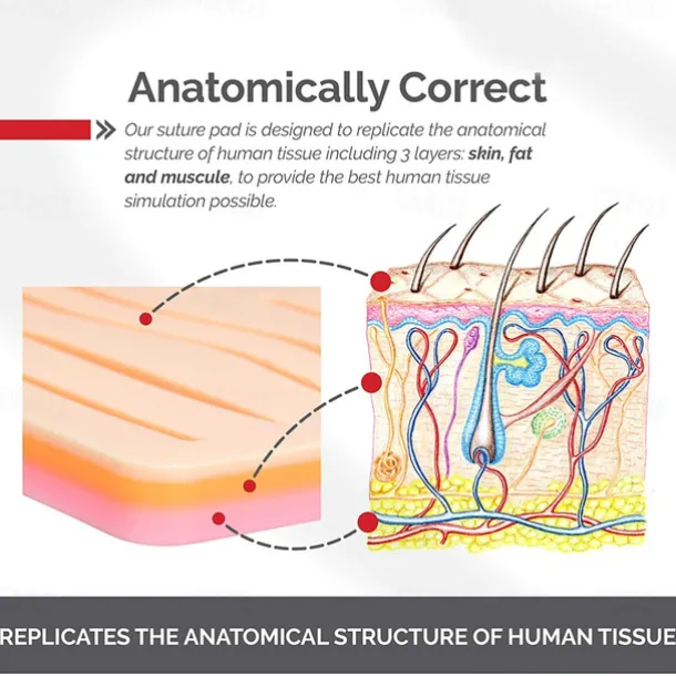 Complete Suture Practice Kit For Suture Training Including Large Silicone Suture Pad With Pre-Cut Wounds And Suture Tool Kit