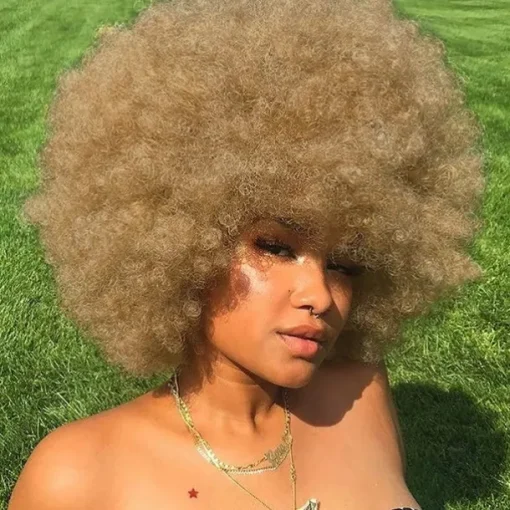 Cosplay Wigs Afro Puff Wigs for Women Short Afro Kinky Curly Wig Heat Resistant Synthetic Hair Fluffy Soft Natural Looking Wig for Black Women Halloween Wigs