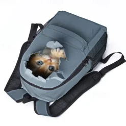 3D Cute Cat Backpack with Ripped Wall Print – Large Capacity School Bag for Girls, Teens, and Cat Lovers, Lightweight Bookbag for Daily Use or Travel