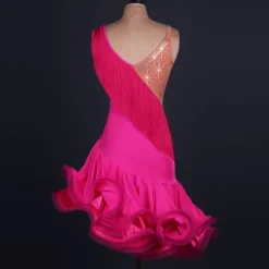 Dance Salsa Latin Dance Dress Fringed Tassel Crystals / Rhinestones Women's Training Performance Sleeveless High Spandex Tulle