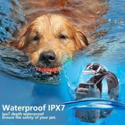 Dog Bark Collar Dog Training Collars Anti Bark Solid Colored PP Corgi Beagle Shiba Inu Pug Bichon Frise Pekingese Black