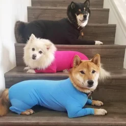 Dog Cat Coat Fashion Cute Winter Breathable Soft Washable Comfortable Outdoor Casual Daily Dog Clothing for Bichon Frise Pomeranian Baby Pet Papillon