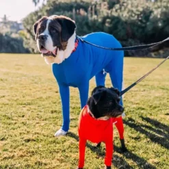 Dog Cat Coat Fashion Cute Winter Breathable Soft Washable Comfortable Outdoor Casual Daily Dog Clothing for Bichon Frise Pomeranian Baby Pet Papillon
