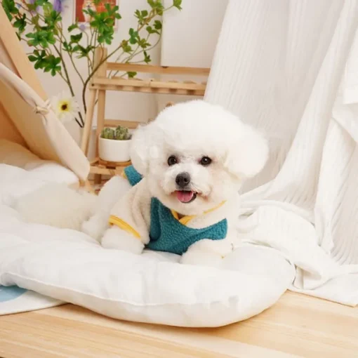 Dog Cat Coat Jacket Fashion Cute Winter Warm Soft Washable Comfortable Outdoor Sports Dog Clothing for Bichon Frise Poodle Pomeranian Baby Pet Papillon
